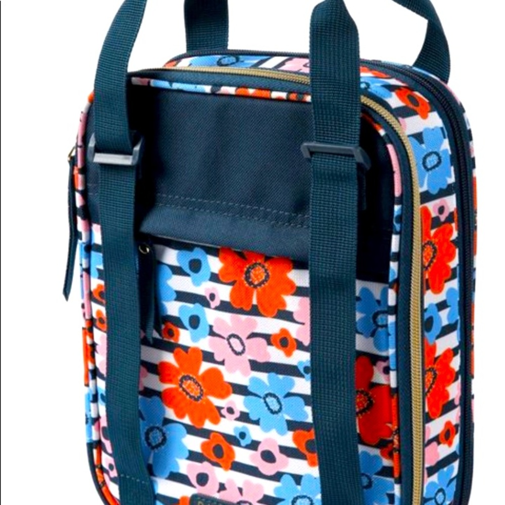 Dabney Lee by Arctic Zone Expandable lunch bag